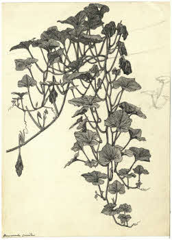 Visualizza l'immagine "FD D 2767"